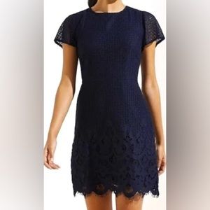 LOFT Navy Lace Dress